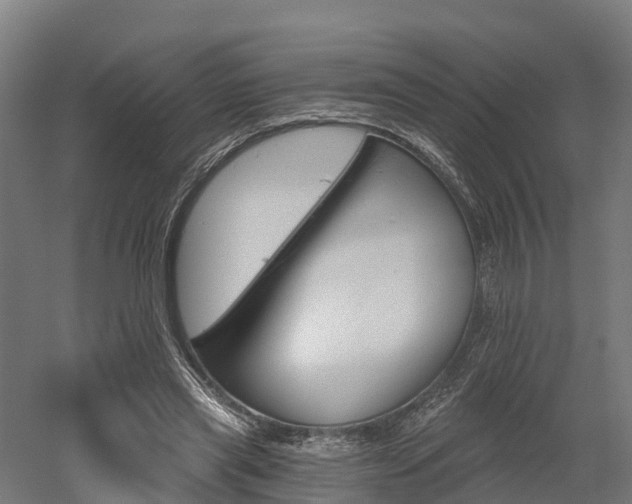 X0000052940445200507151647