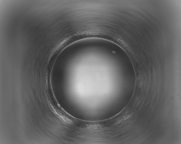 X0000052940446200507151647