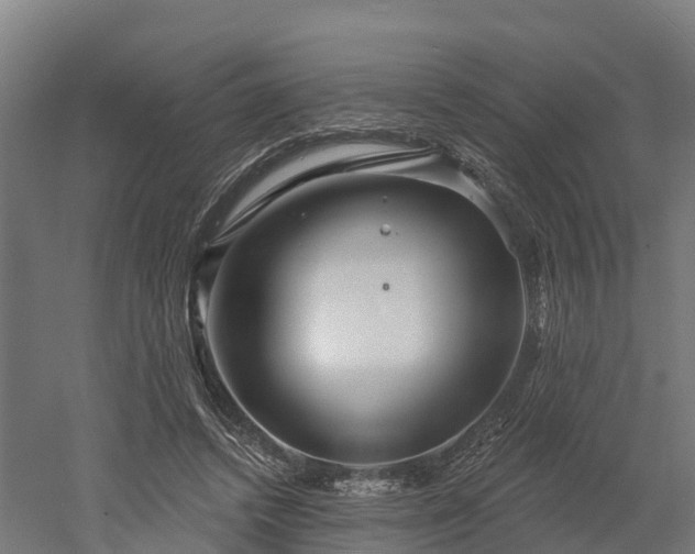 X0000052940448200507151647