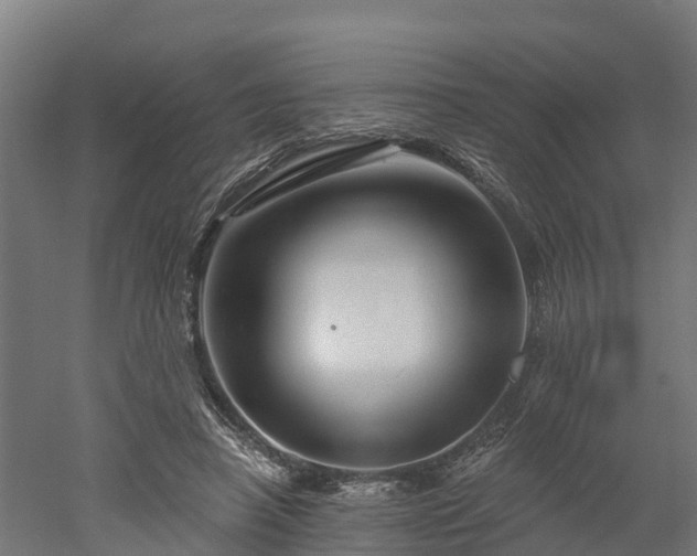 X0000052940450200507151647