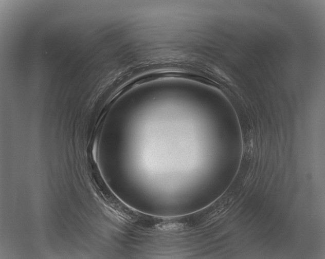 X0000052940452200507151647