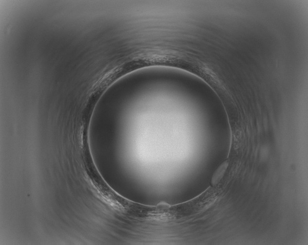 X0000052940454200507151647