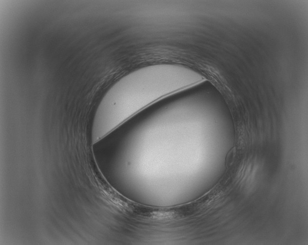 X0000052940457200507151647