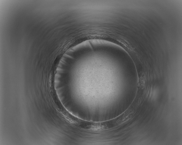 X0000052940458200507151647