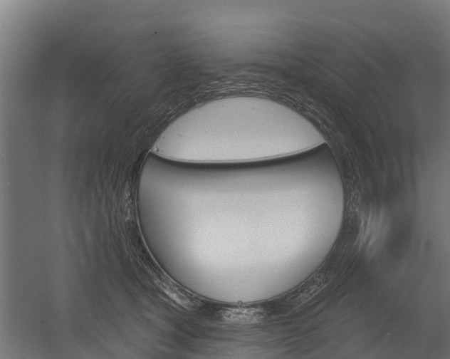 X0000052940465200507151647