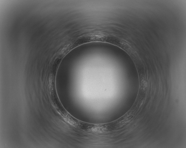 X0000052940468200507151648