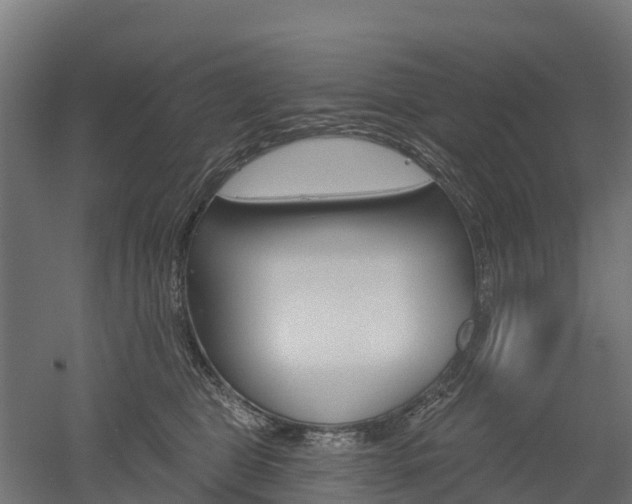 X0000052940469200507151648