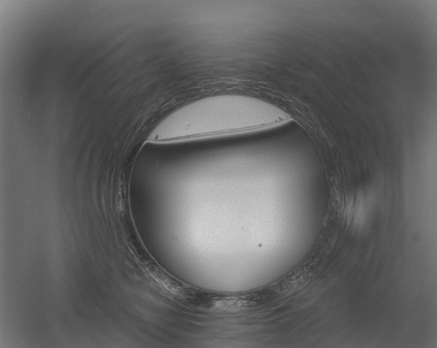 X0000052940470200507151648