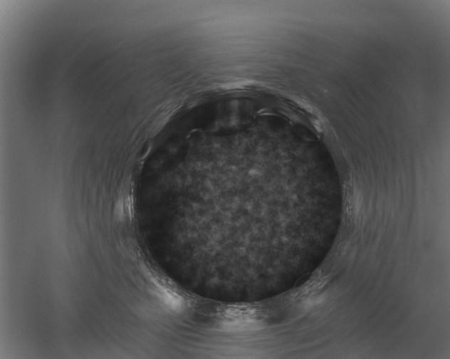 X0000052940471200507151648