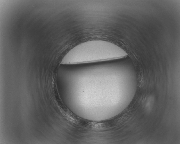 X0000052940472200507151648