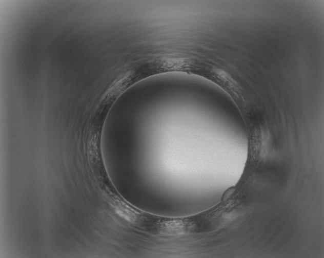 X0000052940473200507151648