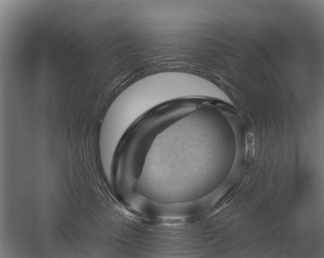 X0000052940475200507151648