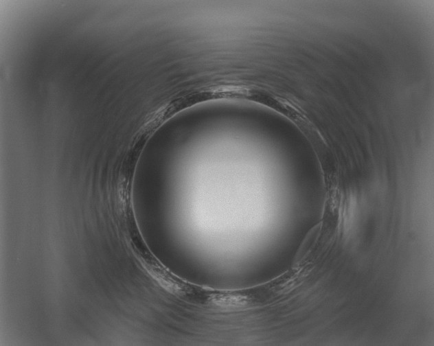 X0000052940476200507151648