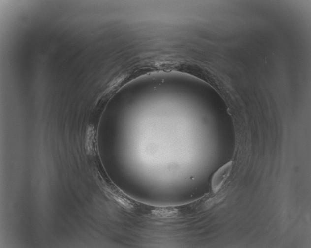 X0000052940480200507151648