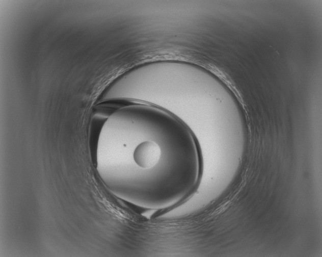 X0000052940481200507151647