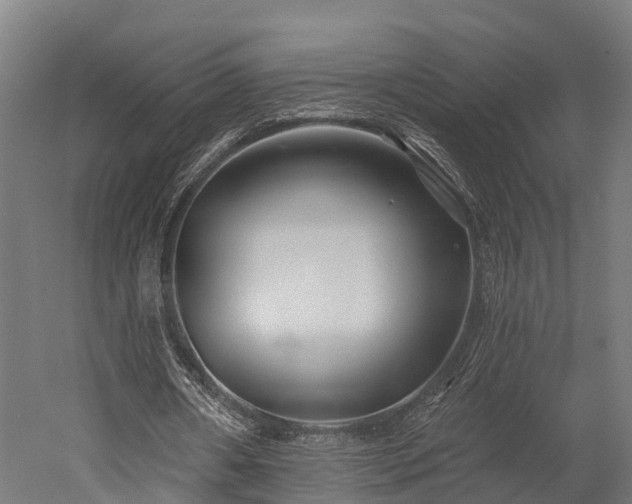 X0000052940482200507151647