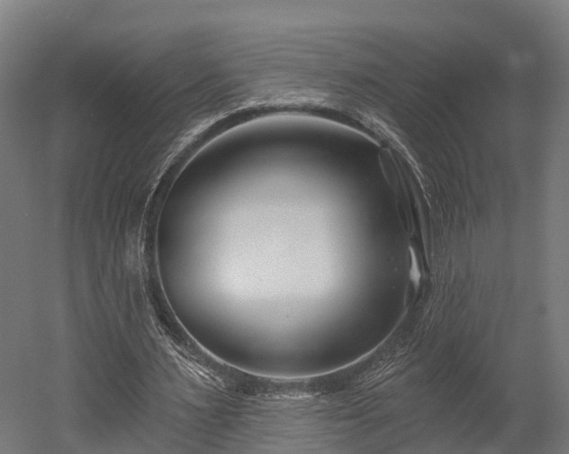 X0000052940483200507151647