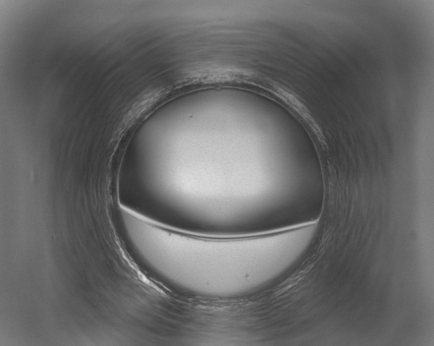 X0000052940485200507151647