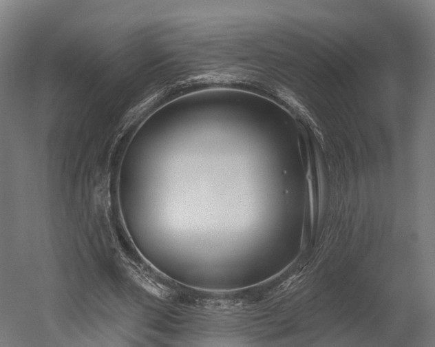 X0000052940486200507151647