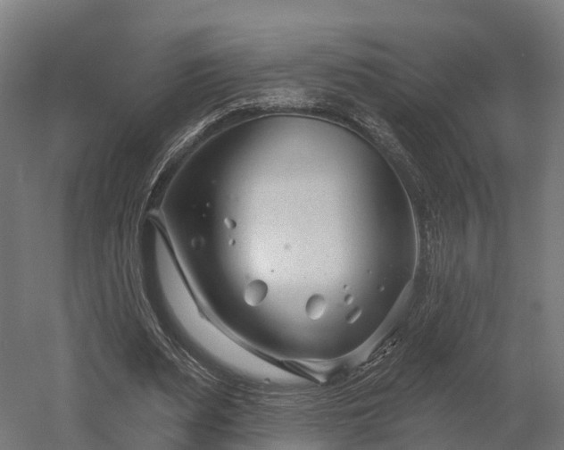 X0000052940487200507151647