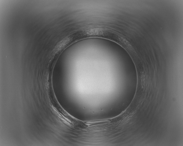 X0000052940490200507151647