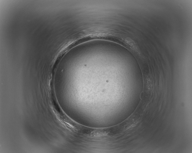 X0000052940491200507151647