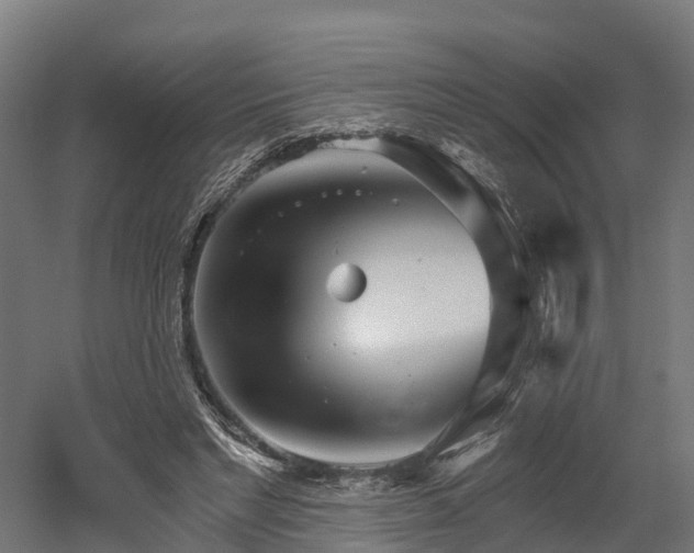 X0000052940493200507151647