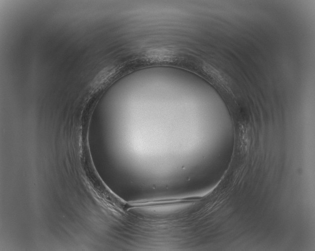 X0000052940494200507151647