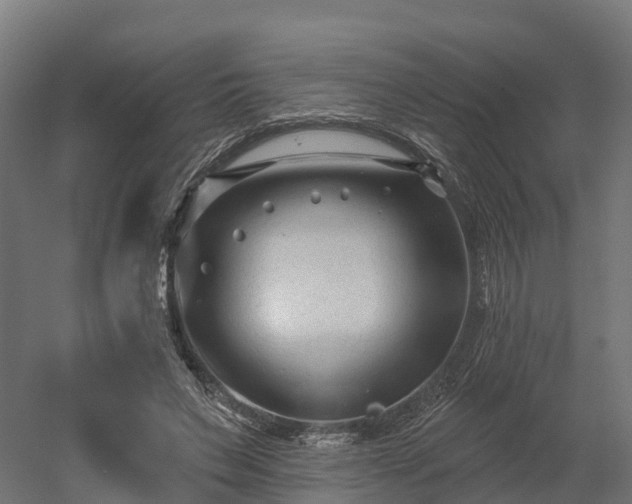 X0000052940495200507151647