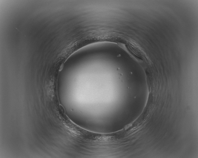 X0000052940497200507151647