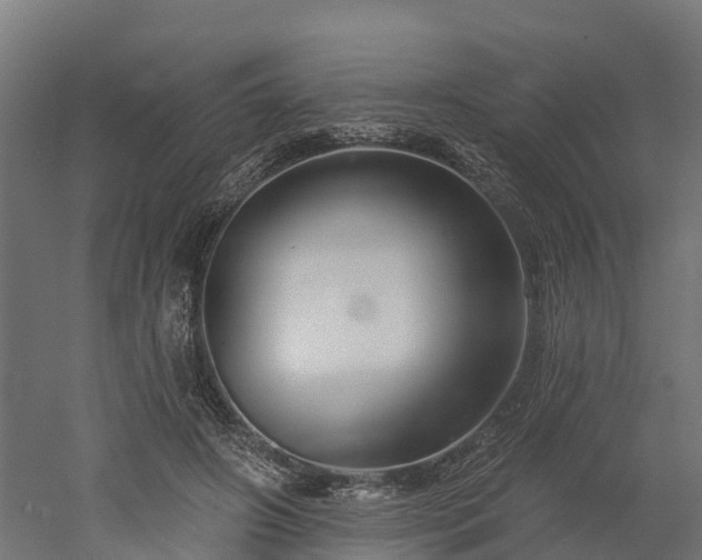 X0000052940498200507151647