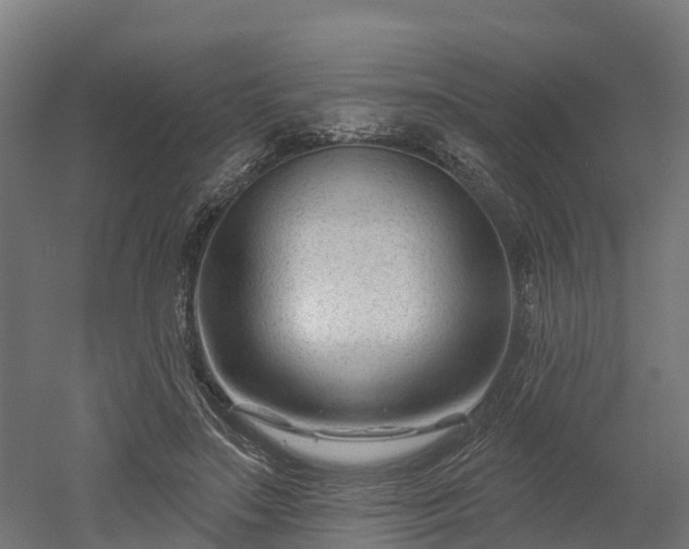 X0000052940499200507151647