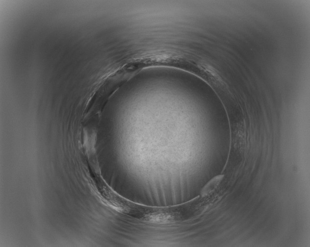 X0000052940500200507151647