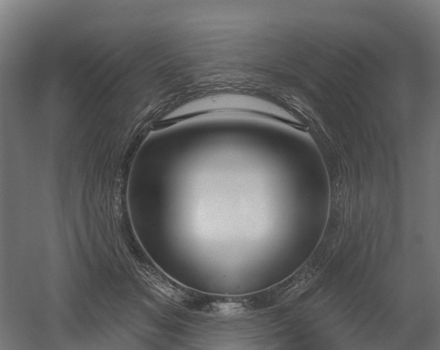 X0000052940509200507151646