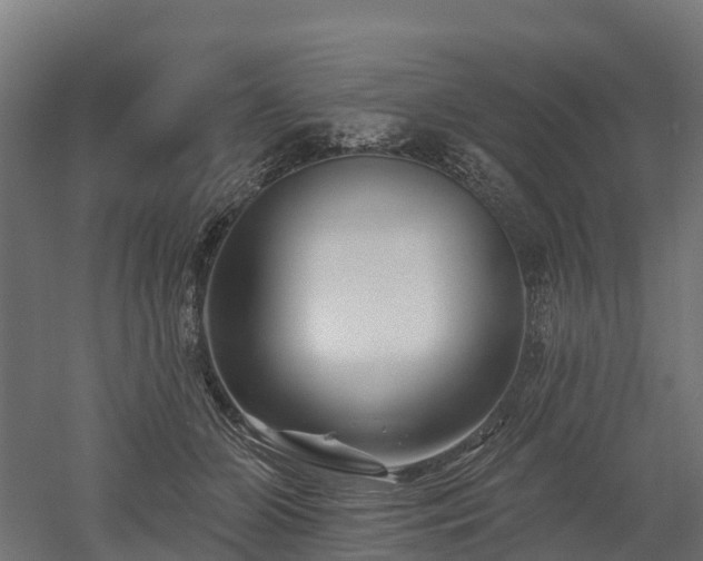 X0000052940510200507151646