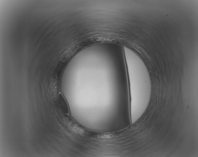 X0000052940513200507151646