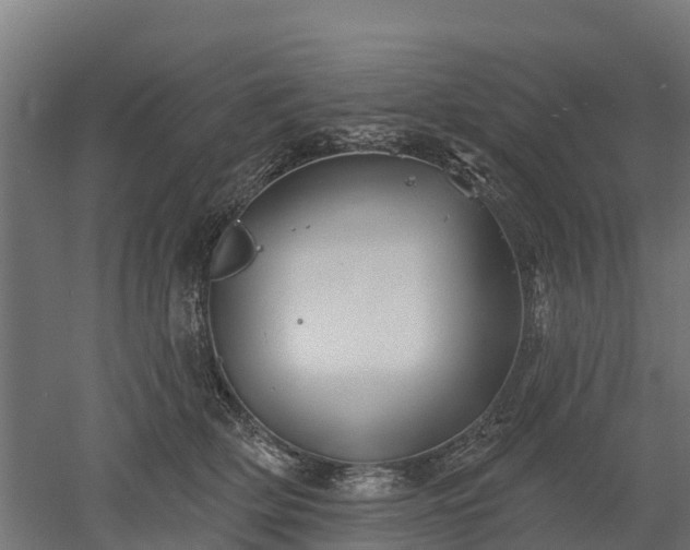 X0000052940514200507151646