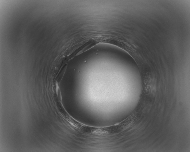 X0000052940515200507151646