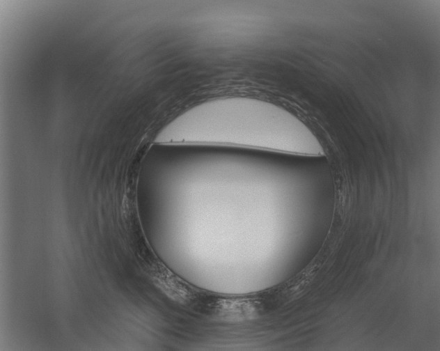 X0000052940520200507151646