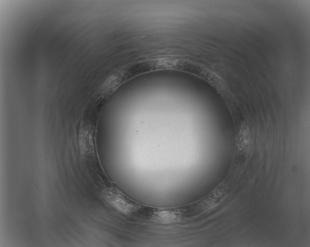 X0000052940522200507151646