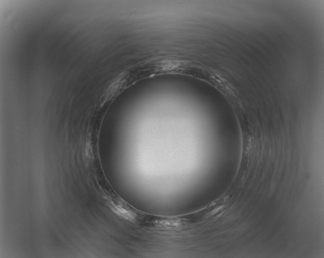 X0000052940524200507151646