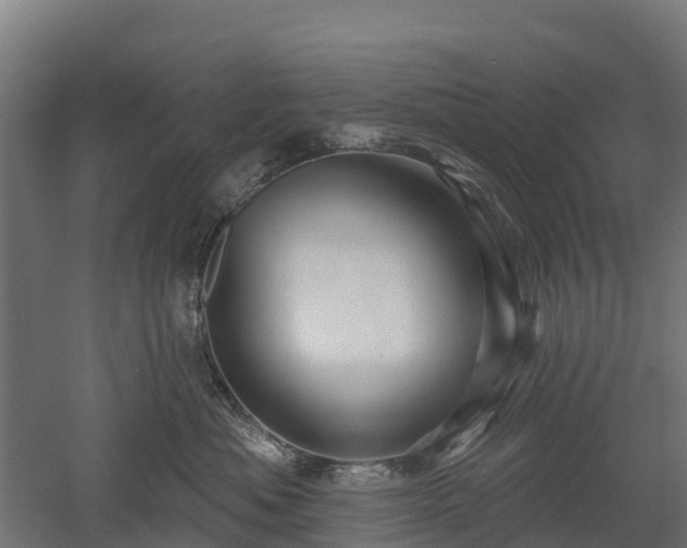 X0000052940525200507151646