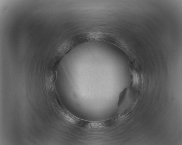 X0000052940526200507151646