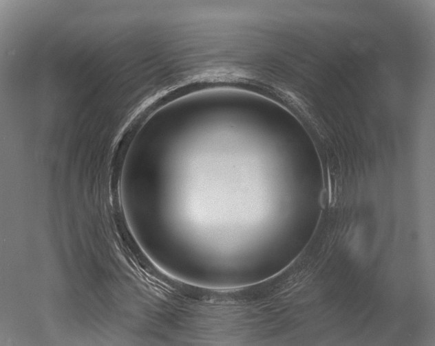 X0000052940531200507151645