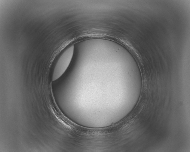 X0000052940533200507151645