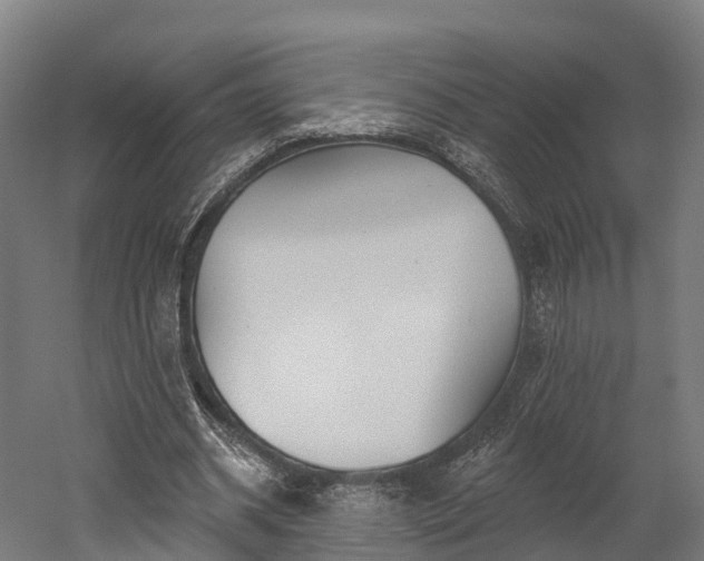 X0000052940534200507151645