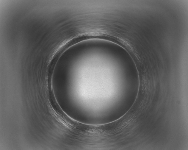 X0000052940535200507151645