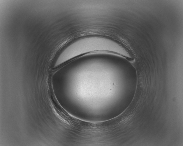 X0000052940538200507151645