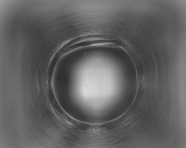 X0000052940540200507151646