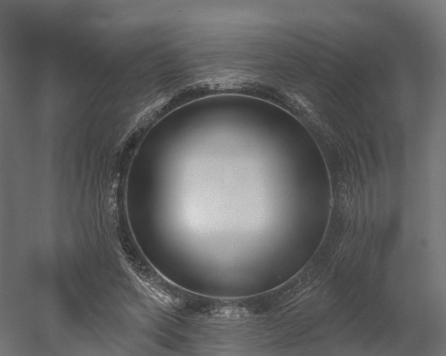 X0000052940543200507151646